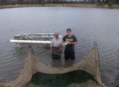 Pulling for pond stocking order